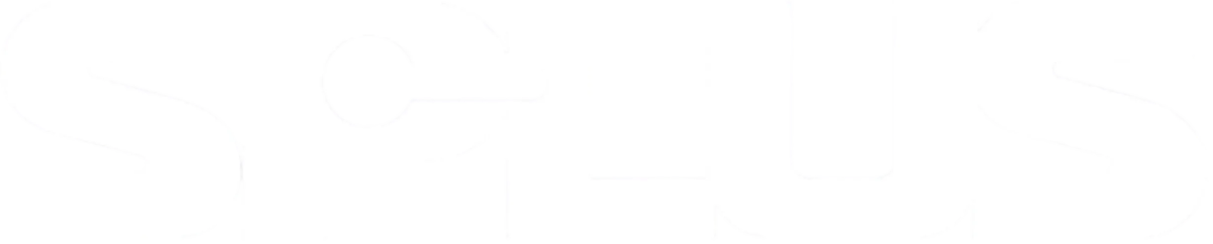 SPLUS LOGO